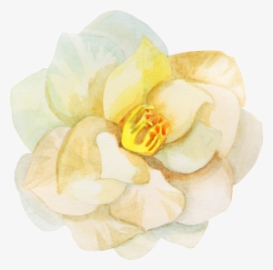 Hand Painted Beautiful Rendering Flower Png Transparent - Rendering #395023