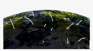 Enter Image Description Here - Sea Lettuce #395195