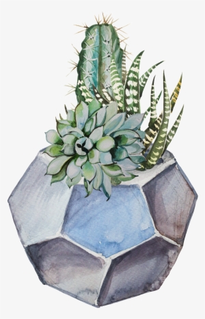 Hand Painted Fresh Plant Potted Transparent - Cactus #395341