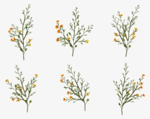Orange Yellow Flowers 6pk - Orange Flowers Tumblr Png Transparent #396144