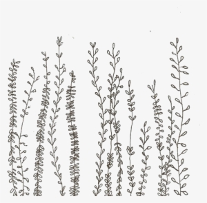 Notebook Aesthetic #396241