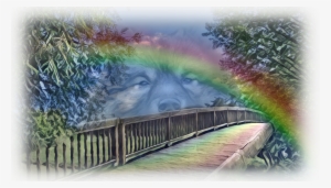 Vector Black And White Library Wolfsspitze Vom Kiersper - Keeshond #397698