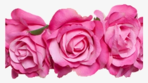 Photo - Dylan O Brien Stickers Png #399637