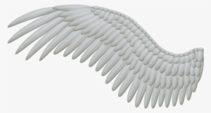 Bird Wings Png - White Angel Wings Png #3900324