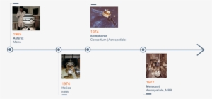 Pioneering Aerospace Satellites - Parish #3901025