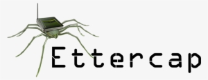 Logo - Ettercap Kali #3901756 Logo - Ettercap Kali #3901756