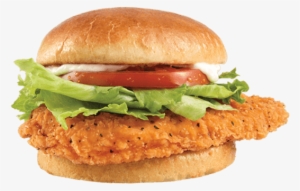 Spicy Chicken Burger Wendys #3902461