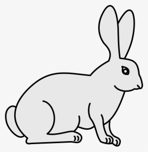 Open - Illustration Of A Rabbit #3902529