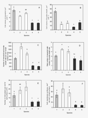 The Quantitative Characteristics Of Photosynthetic - Smad #3902607