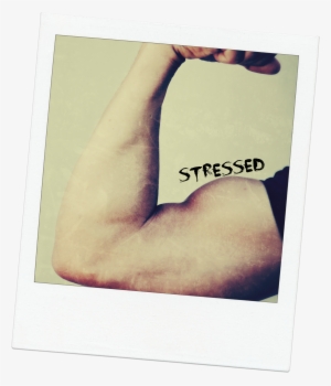 Strength For Stressed - Paper #3902777