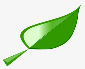 Single Green Leaf Clip Art #3903238