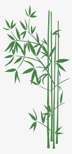 Bamboo Leaves - Bambu Fondos Png #3903327