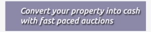 Auction #3904004