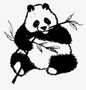 This Free Icons Png Design Of Found Panda Chewing On #3904073