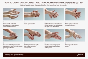 Correct Hand Wash Uk - Disinfect Hands #3904384