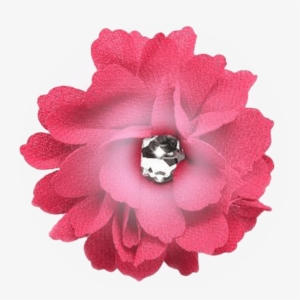 Hot Pink Flower - Black Flower Png #3904589