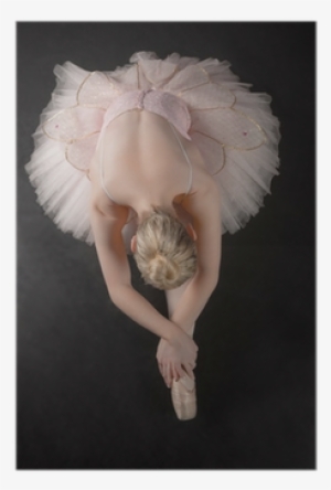 Graceful Ballerina Bending Forward In Pink Tutu Poster - Ballerina Bending Forward #3904729