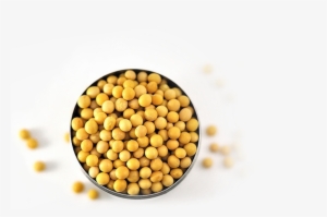 Soybeans - Soybean #3904821