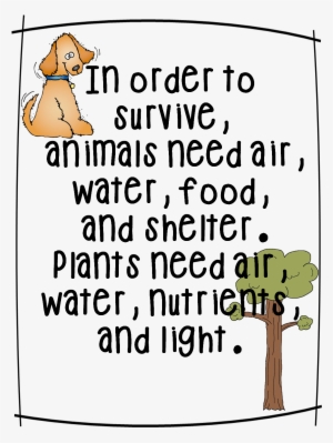 Gummy Worm Vs - Basic Needs Of Living Things Poster #3905328