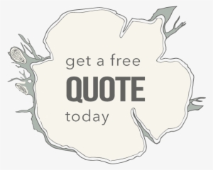 Bird - Illustration #3905576