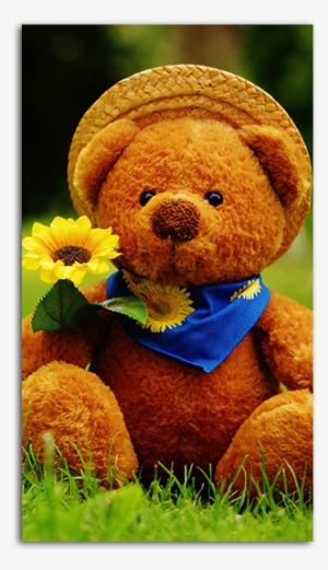 Teddy Bear Wallpaper Hd - Day I Met You #3905920