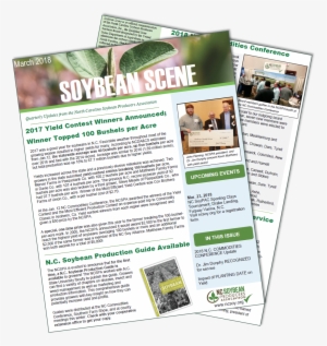 Soybean - Flyer #3906017