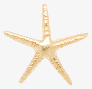 Single Starfish Stud 14k - Starfish #3906864