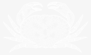 Crab Illustration - Samways Fish Merchants #3907010