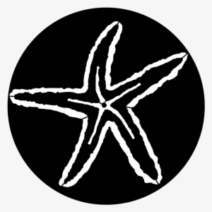 Sea Starfish - Apollo Sea Starfish Steel Gobo Ms-7005 #3907078