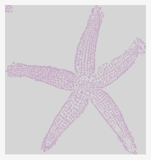 Star Fish Lavender Eac9ea Clip Art At Clker White Starfish - Fish Clip Art #3907507