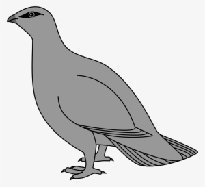 Open - Wikimedia Commons Heraldry Birds #3907599