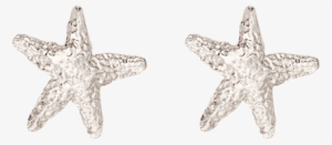 14k White Gold Starfish Studs - Starfish Stud Earring #3907624