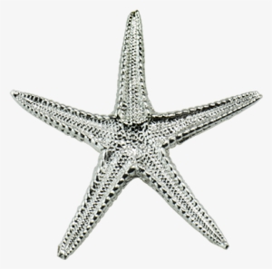 Sea Star Pendant Large - Stock Illustration #3907630
