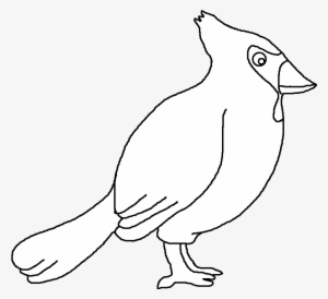 Background Courtesy Of - Pheasant #3907779