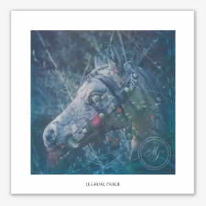 Le Chevall Oublie Post - Burro #3908719