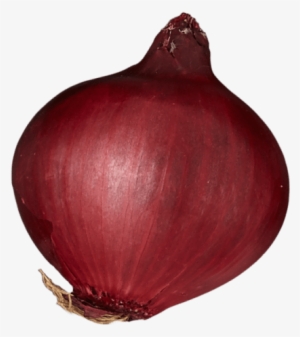 Red Onion #3908751