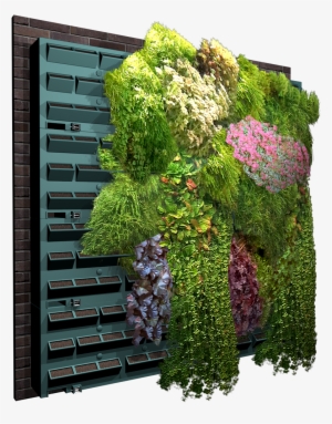 Mur Vegetal #3908820