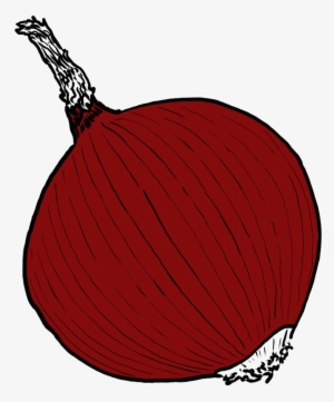 Single Onion Png Image - Illustration #3908846