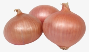 Figueres Onion - Variedad De Cebolla Babosa #3909021