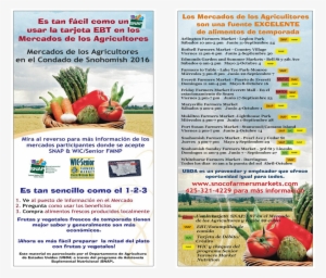 Snap Shoppers And Farmers Markets Pdf 692016 2 Sp Rv - Fruits And Vegetables #3909022