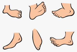 Cartoon Foot Clipart - Feet Clipart #3909284