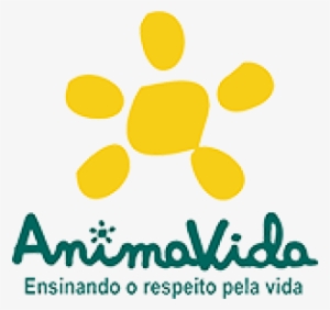 Fogos De Artifício Cumprimento Dasleis - Report #3909435