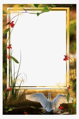 Photo Frame - Ray Sunset - Swan On The River Avon #3910608