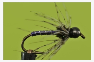 Damselfly #3910664