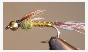 Gold Lightning Bug - Mayflies #3910794