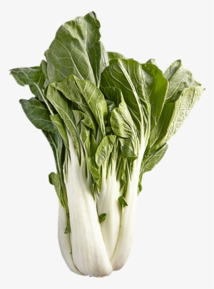 Bok Choy - Basil Asian Bistro #3910969