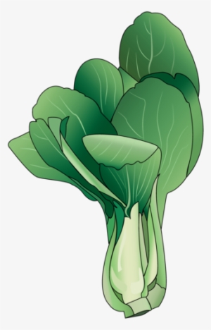 Bok Choy #3911025