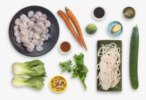 Shrimp & Udon Noodle Salad With Cucumber, Carrots & - Shrimp Udon Salad #3911255