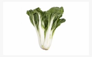 Bok Choy - Chard #3911369