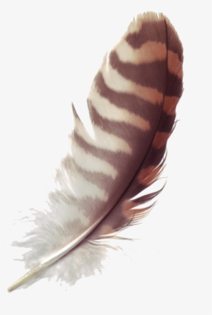 Feather Free Download Png - Ticklish By Jennifer Barham-floreani #3911433